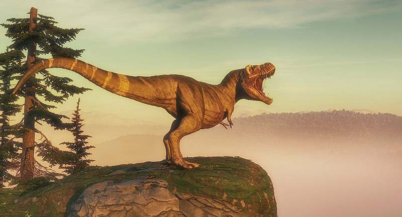 T Rex On Top Of A Mountain Rock . This Is A 3d Render Illustrati